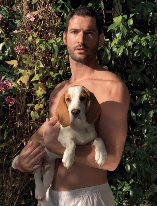 汤姆·艾利斯 Tom Ellis