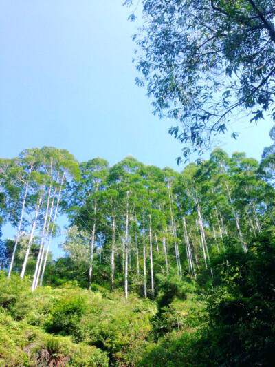 摄影风景随拍羚羊栈道