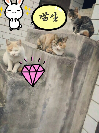 每天的幸福☺☺