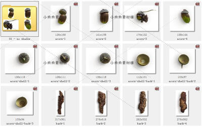 秋天田园落叶果实树皮树枝羽毛苹果背景png psd设计素材png71