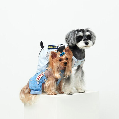 韩国直邮宠物用品2016牛仔背带裤小型犬泰迪比熊贵宾犬狗衣服