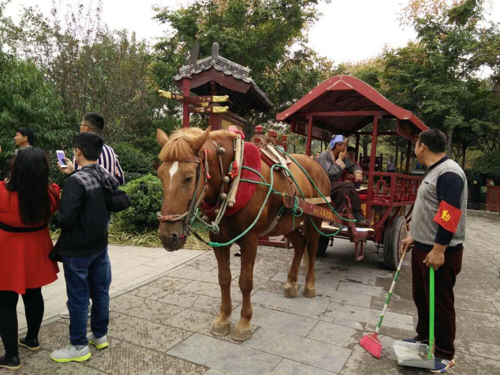 清明上河园 马车