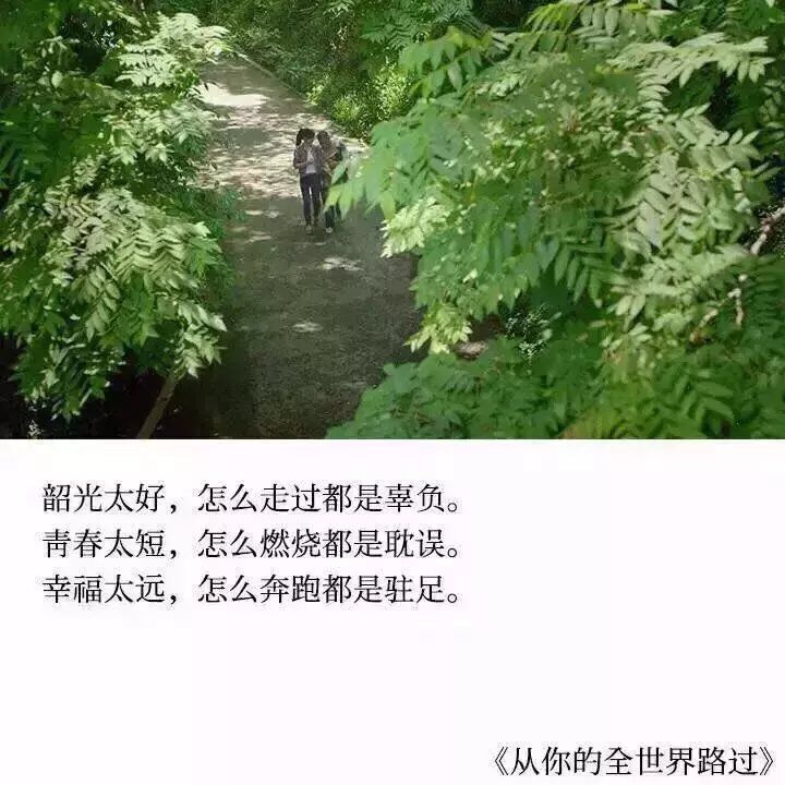 从你的全世界路过