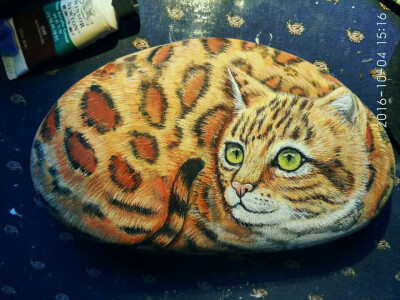 【喵石】石头画孟加拉豹猫@喵喵石绘 欢迎关注