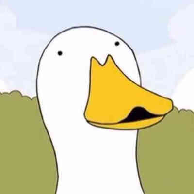 鸭子 头像 