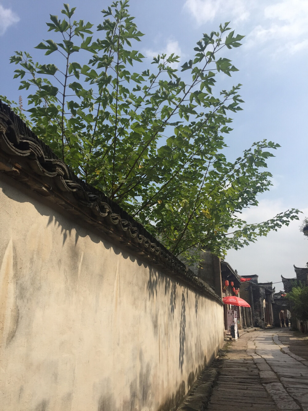 午后撒下的阳光