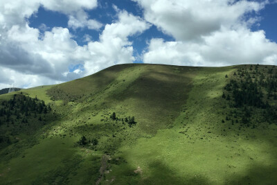 卡子拉山 抹茶巧克力