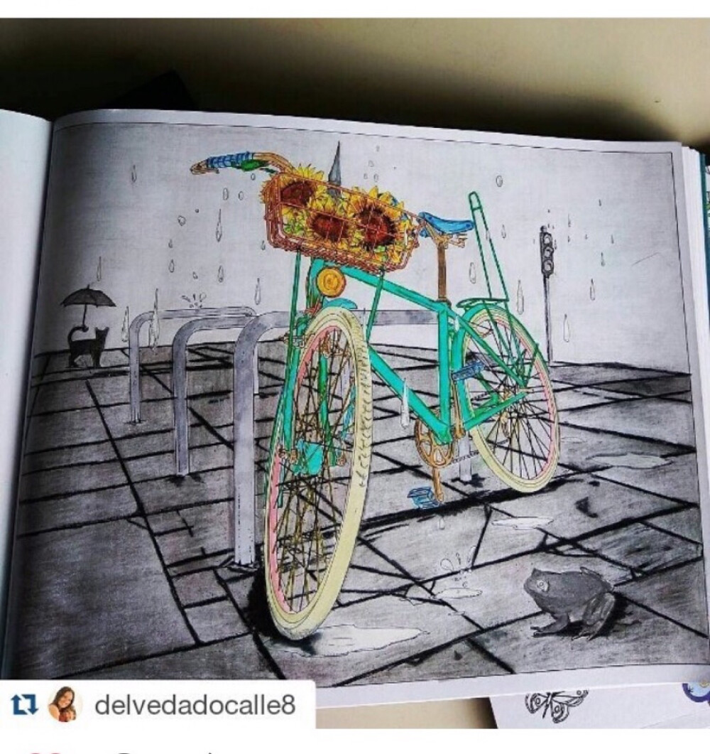 The bicycle colouringbook