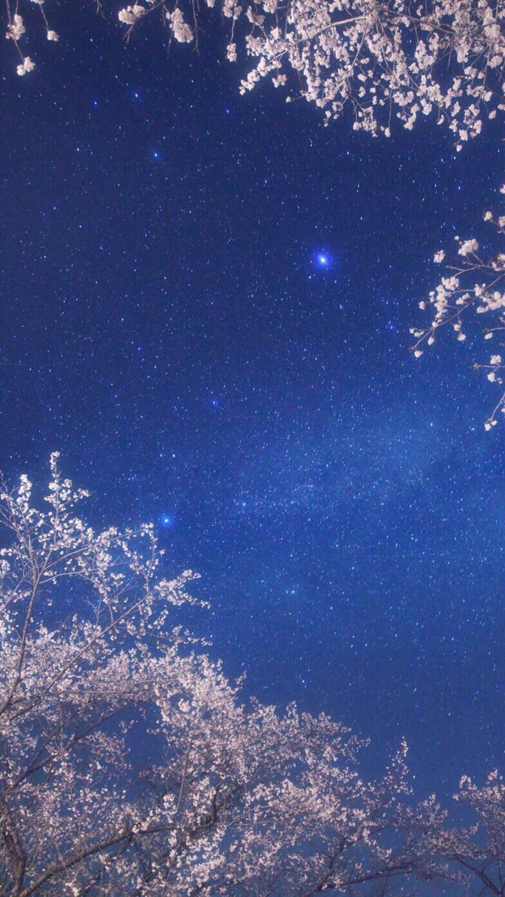 夜空