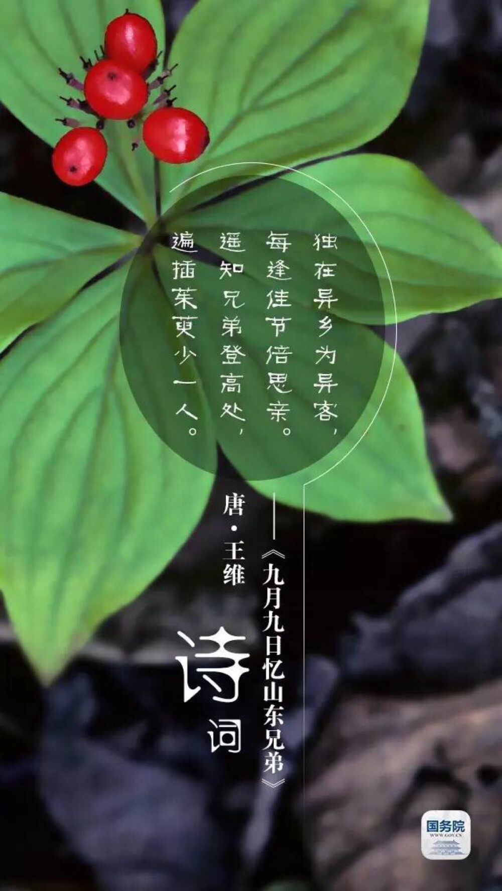 农历九月初九重阳节