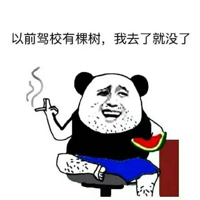 最幽默的是学车教练