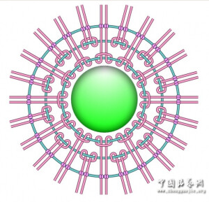 包石头