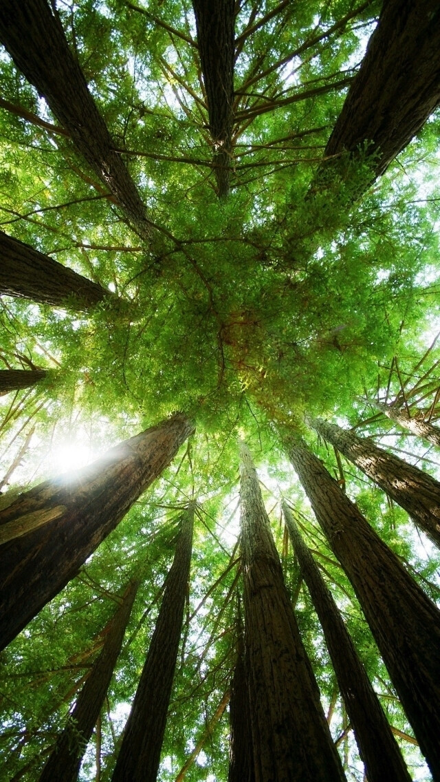 绿色 森系 植物 风景 自然 文化 建筑 视觉 城市 欧洲 旅行 复古 纪实 胶片 摄影 色彩 街道 插画 手绘 卡通 可爱 壁纸 锁屏 头像 背景 壁纸 手机 桌面 文字 封面 人物 女生 男生手机锁屏 摄影美图 日系 小清新 静物 恋物设计 喜欢的话请关注 只是戒了度娘
