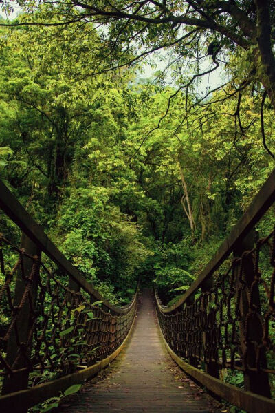 绿色 森系 植物 风景 自然 文化 建筑 视觉 城市 欧洲 旅行 复古 纪实 胶片 摄影 色彩 街道 插画 手绘 卡通 可爱 壁纸 锁屏 头像 背景 壁纸 手机 桌面 文字 封面 人物 女生 男生手机锁屏 摄影美图 日系 小清新 静物 …