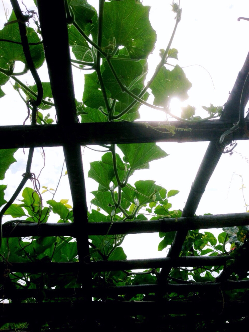 绿色 森系 植物 风景 自然 文化 建筑 视觉 城市 欧洲 旅行 复古 纪实 胶片 摄影 色彩 街道 插画 手绘 卡通 可爱 壁纸 锁屏 头像 背景 壁纸 手机 桌面 文字 封面 人物 女生 男生手机锁屏 摄影美图 日系 小清新 静物 恋物设计 喜欢的话请关注 只是戒了度娘
