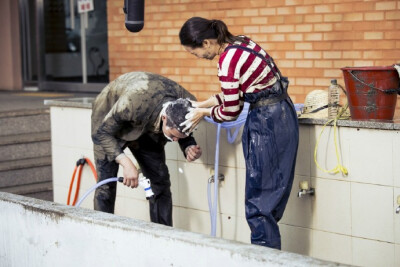 《嫉妒的化身》中表娜丽和高正元