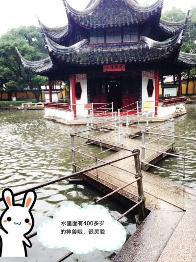 苏州西园寺后院