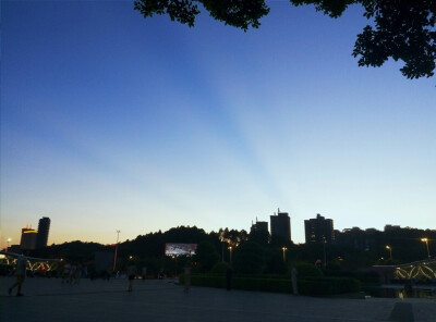 跑步路上的风景