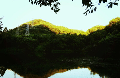 跑步路上的风景