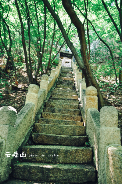 山里的古道，蜿蜒翠绿