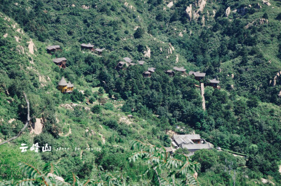 山里的住宿——童话树屋。