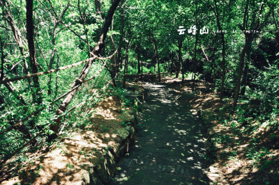 走进山里，满眼翠绿