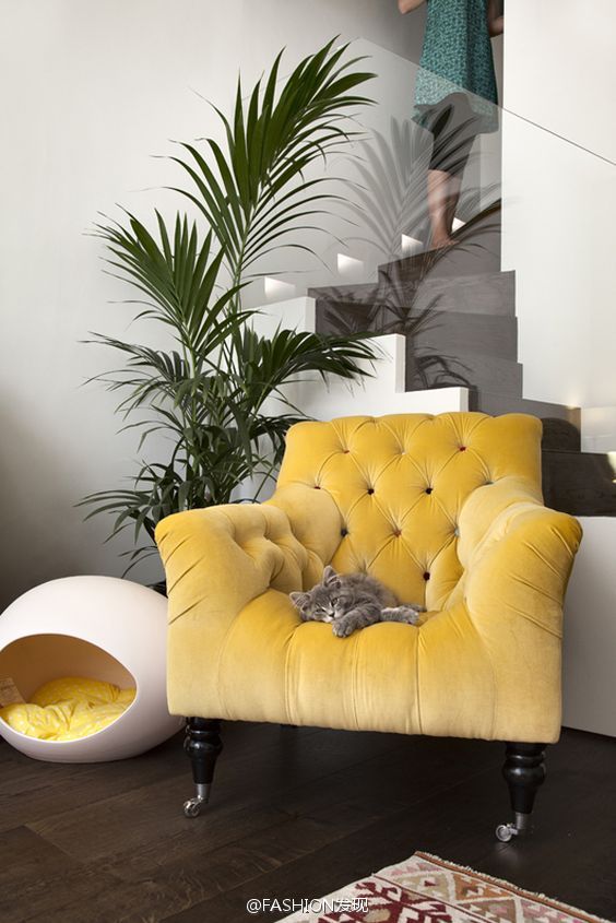 鮮艷亮眼的黃色椅子，能提升整體空間的視覺效果