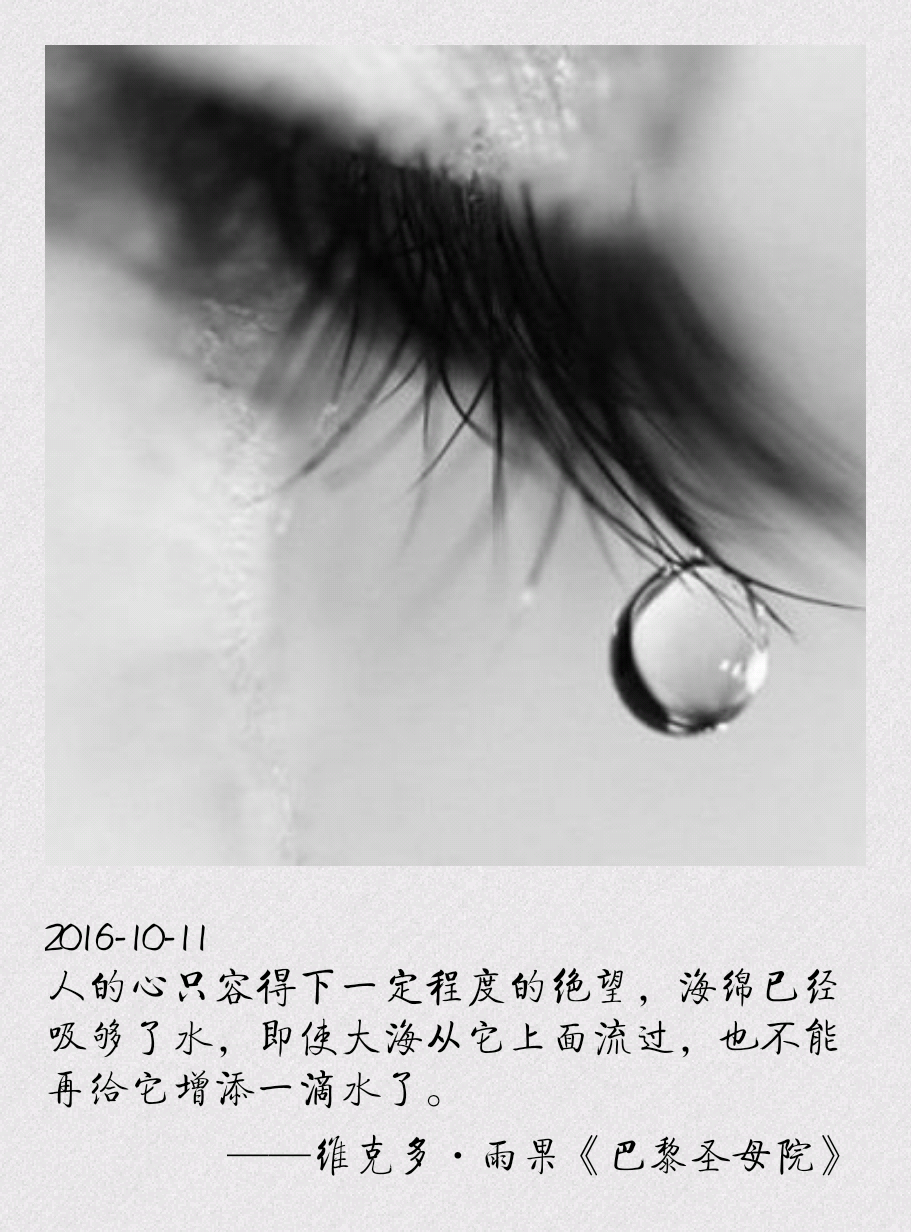 雨果《巴黎圣母院》；绝望