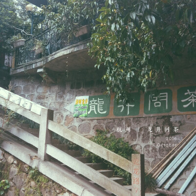 茶村