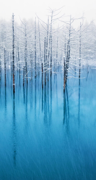 林海雪原