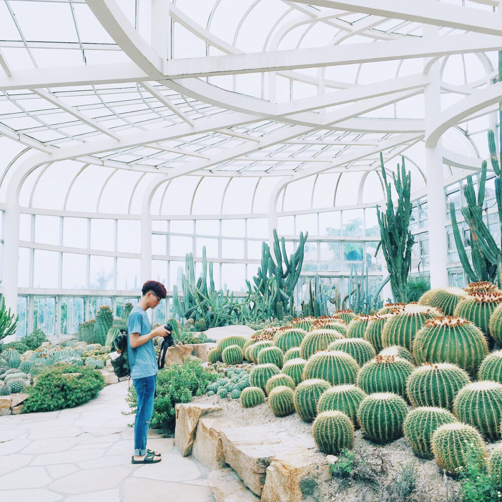 厦门植物园