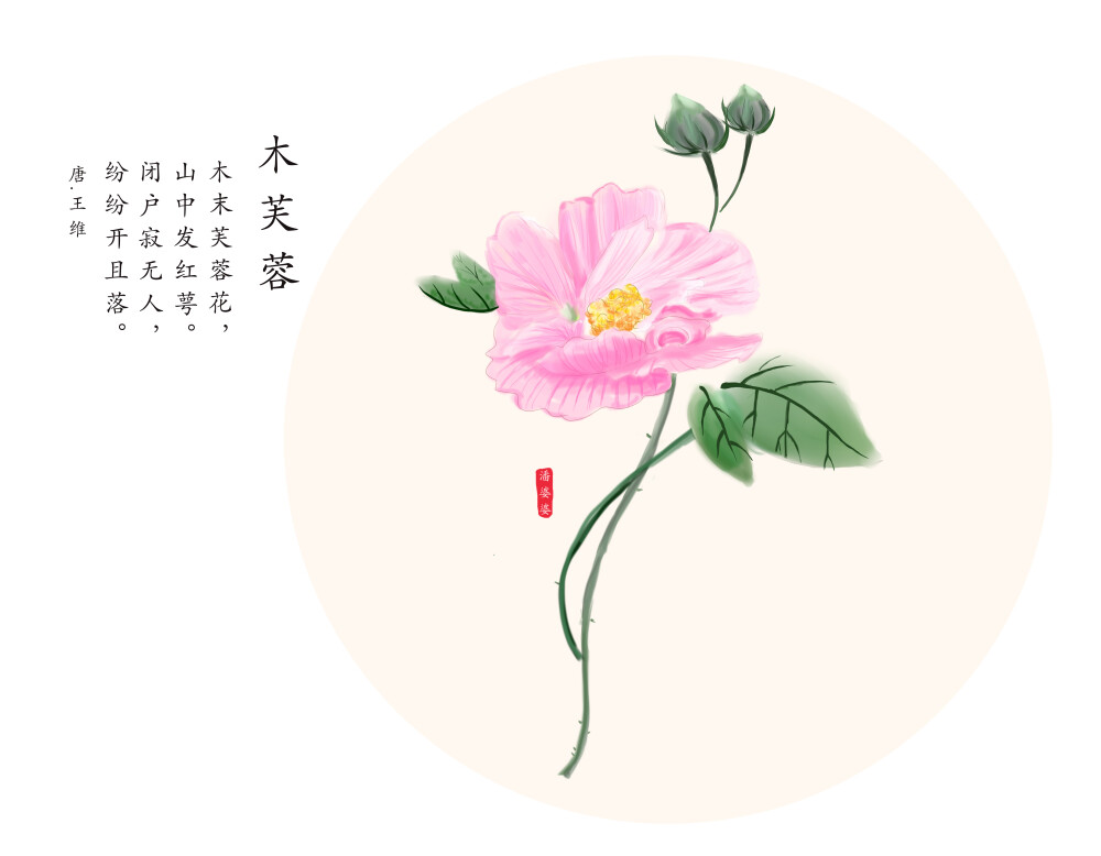 #本草有情#前几天是九九重阳，此时采摘的木芙蓉药效是一年中最好的，这个时间是它的巅峰。中药很有趣，需要按时节采摘，否则再好的也只能当柴烧了~