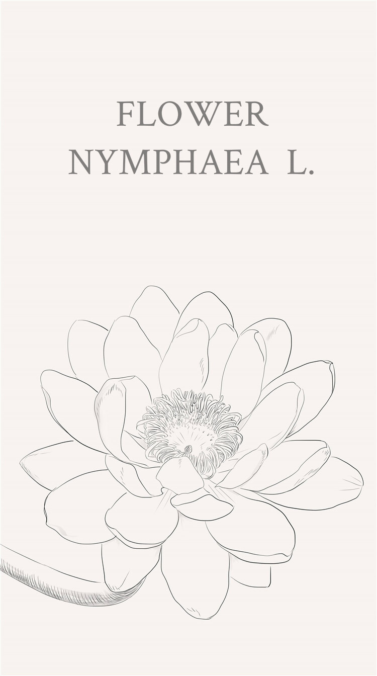 睡莲（学名：Nymphaea L.），多年生水生草本；根状茎肥厚。叶柄圆柱形，细长。叶椭圆形，浮生于水面，全缘，叶基心形，叶表面浓绿，背面暗紫。花语：洁净纯真