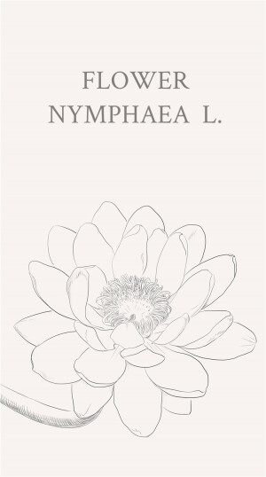 睡莲（学名：Nymphaea L.），多年生水生草本；根状茎肥厚。叶柄圆柱形，细长。叶椭圆形，浮生于水面，全缘，叶基心形，叶表面浓绿，背面暗紫。花语：洁净纯真