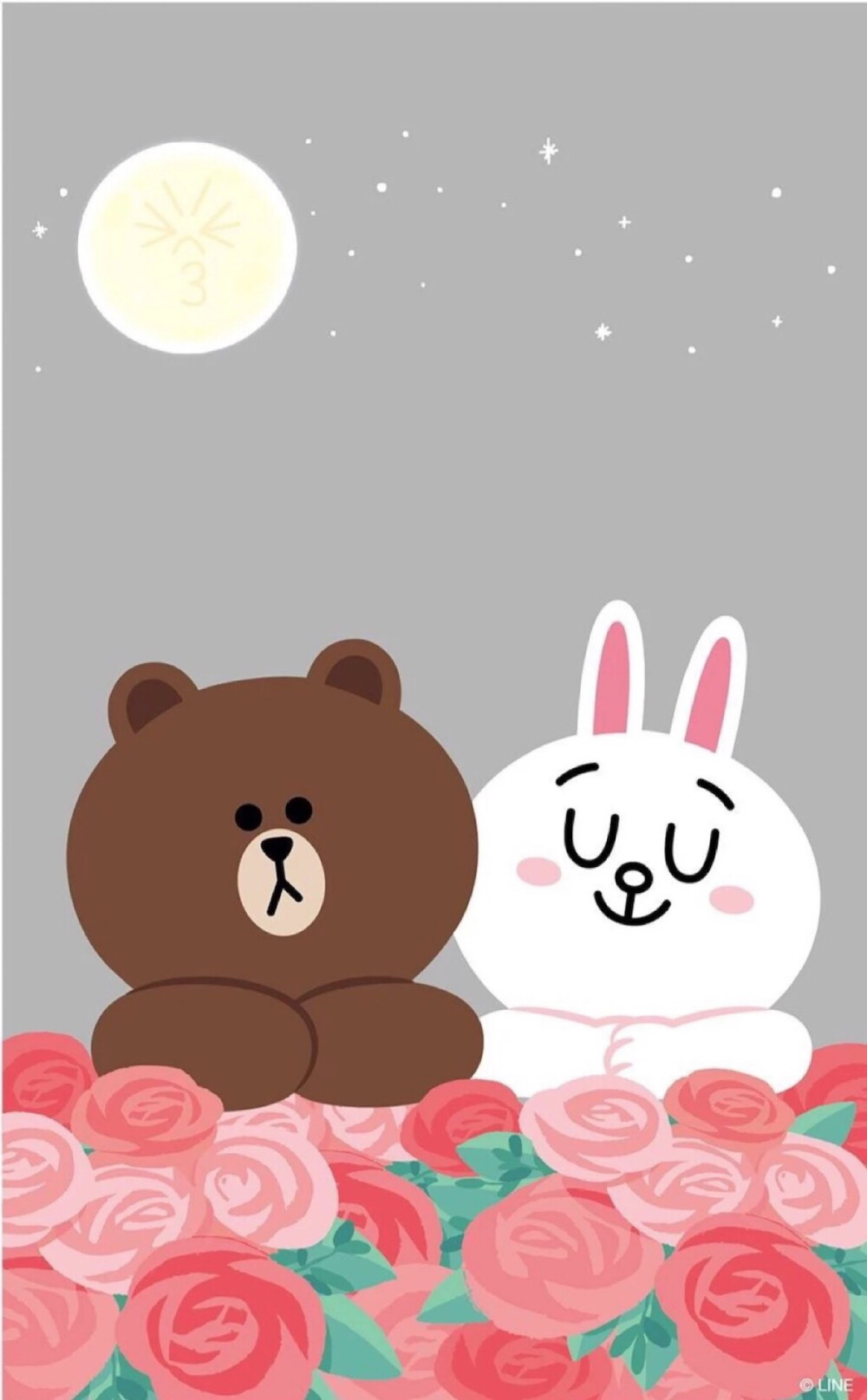 Line Friends 布朗熊 ➕ 可妮兔