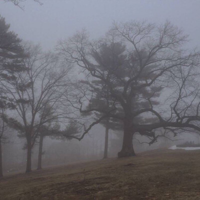 
我要离开你
实在不行
我就离开
我自己