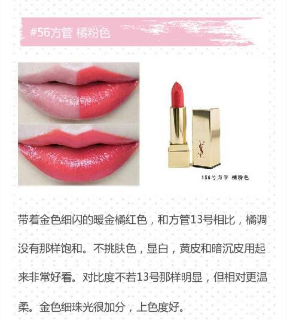 YSL 方管56