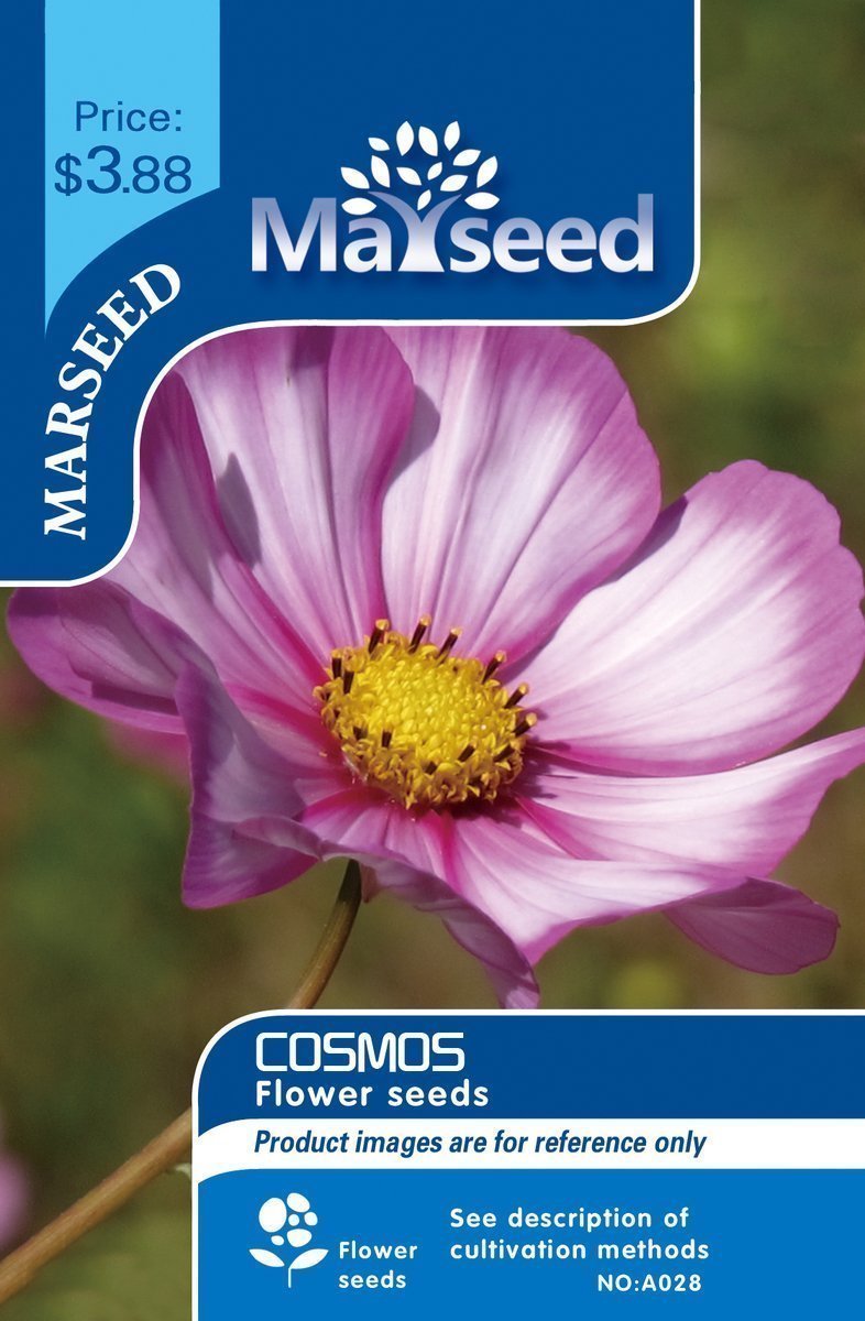 美国MARSEED 波斯菊种子格桑花混色室内阳台盆栽观赏花卉进口四季