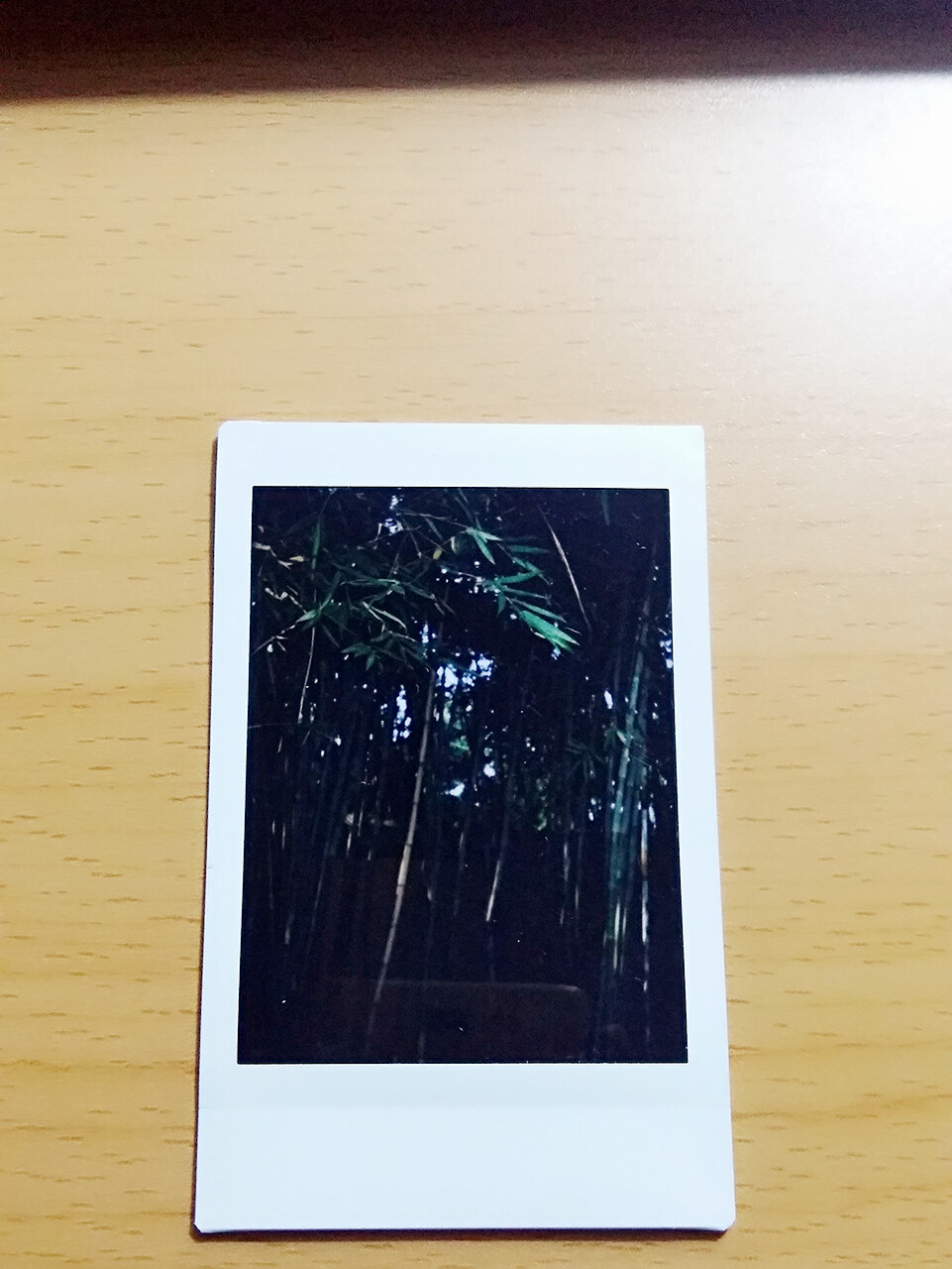 2016.10.03 成都
唯有竹影
instax mini 8