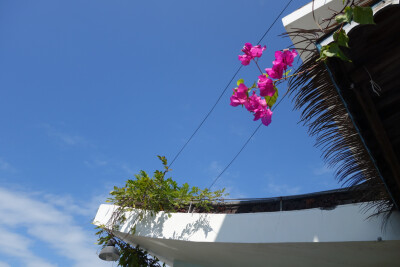 在三亚湾一号咖啡屋，仰头都是风景