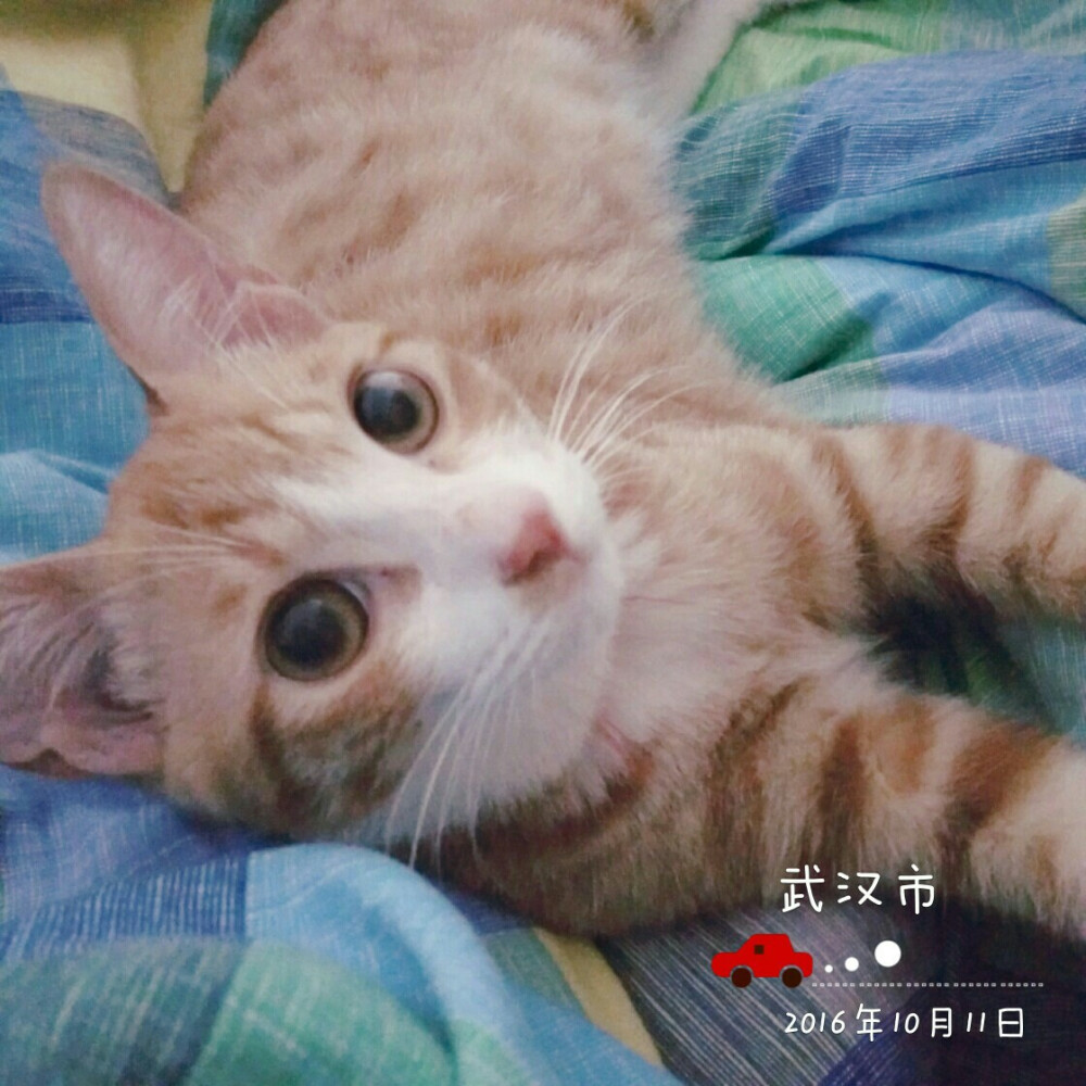 原图呐