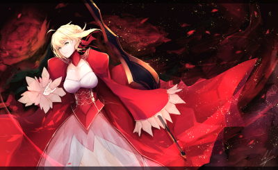 fate extra/ccc/fate grand order 赤saber 尼禄