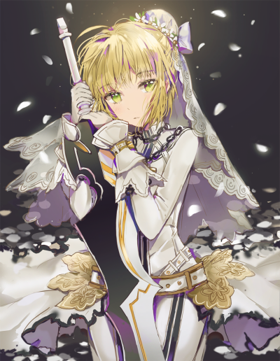 fate extra ccc/fate grand order 花嫁尼禄