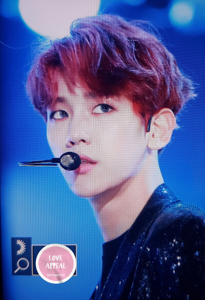 EXO 엑소 변백현 边伯贤 Baek Hyun