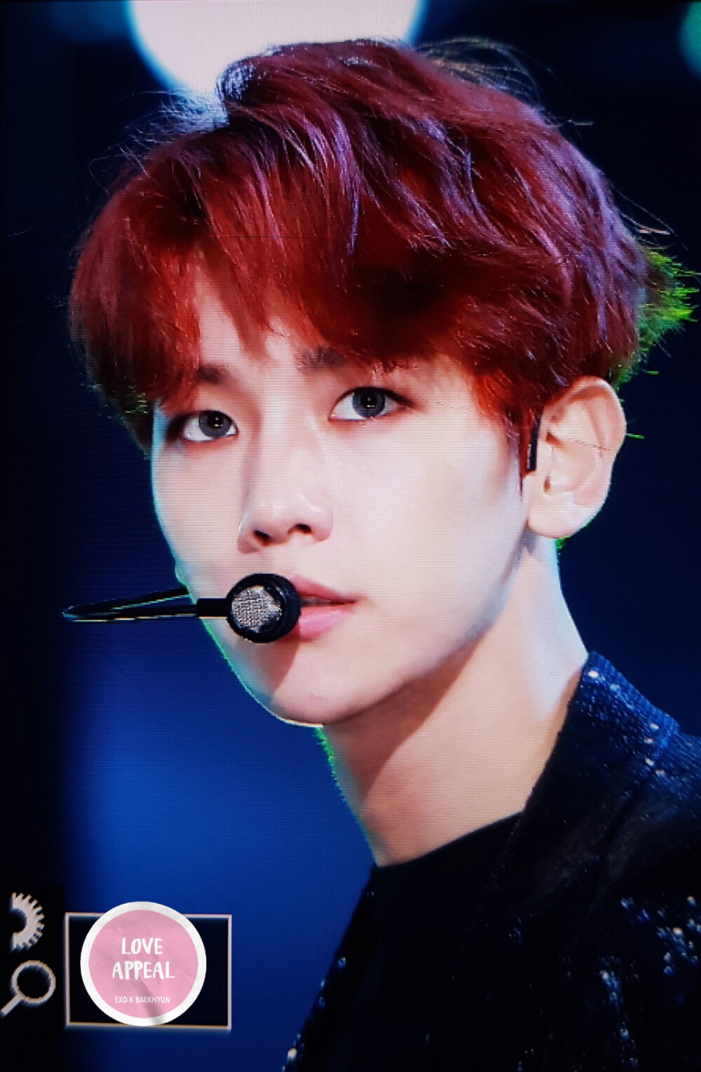 EXO 엑소 변백현 边伯贤 Baek Hyun