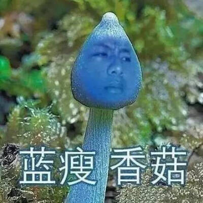 哈哈