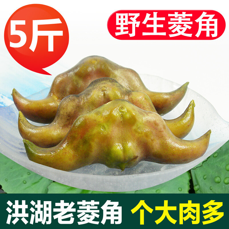 5斤包邮 湖北 洪湖特产 野生菱角 新鲜菱角 野生老菱角 青菱角