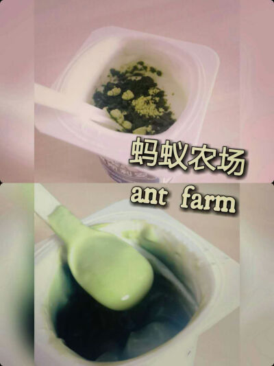 蚂蚁农场青汁配酸奶，味道不错哦！