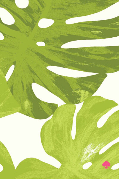 kate spade 手机壁纸 插画 iphone