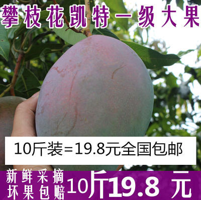 限购一份芒果大青芒新鲜水果10斤包邮